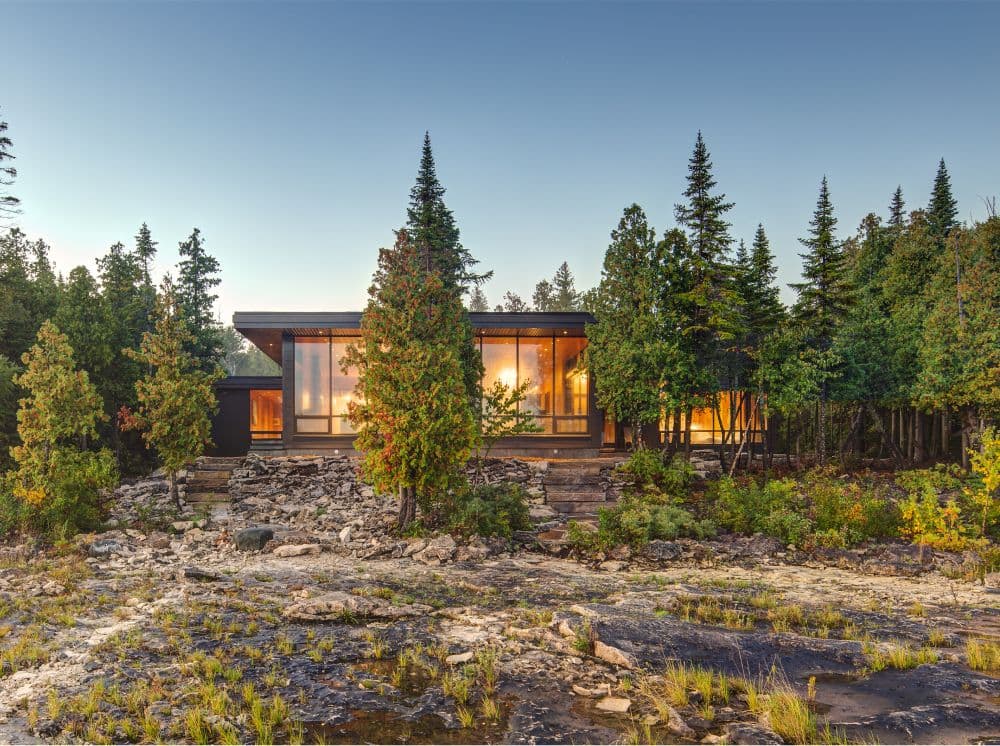 House in Forest